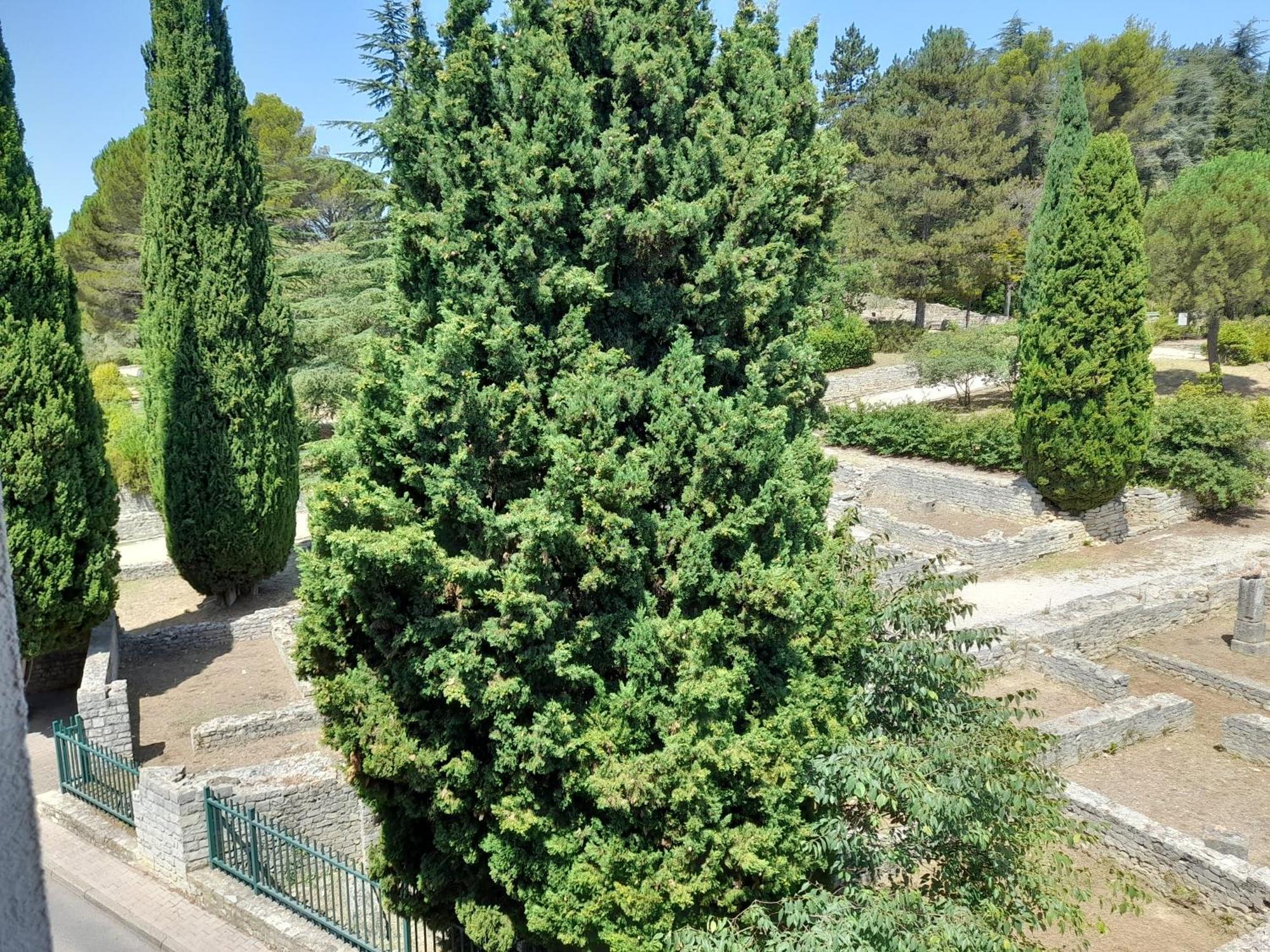 Appartamento Grande Terrasse Et Vue Sur Le Site Antique Vaison-la-Romaine Esterno foto